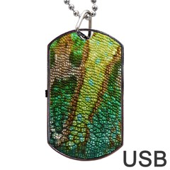 Colorful Chameleon Skin Texture Dog Tag Usb Flash (two Sides) by Simbadda