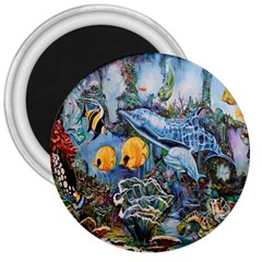 Colorful Aquatic Life Wall Mural 3  Magnets by Simbadda