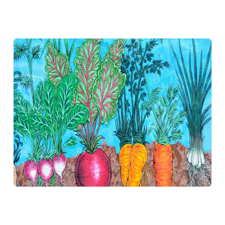 Mural Displaying Array Of Garden Vegetables Double Sided Flano Blanket (Mini) 