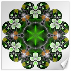 Green Flower In Kaleidoscope Canvas 12  X 12   by Simbadda