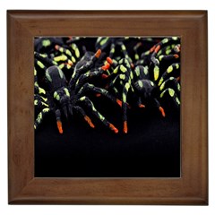 Colorful Spiders For Your Dark Halloween Projects Framed Tiles by Simbadda