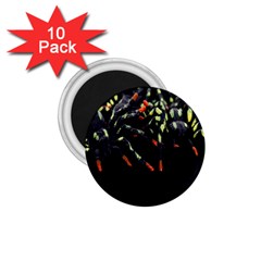 Colorful Spiders For Your Dark Halloween Projects 1 75  Magnets (10 Pack)  by Simbadda