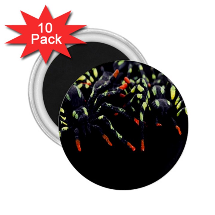 Colorful Spiders For Your Dark Halloween Projects 2.25  Magnets (10 pack) 