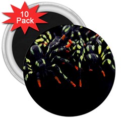 Colorful Spiders For Your Dark Halloween Projects 3  Magnets (10 Pack)  by Simbadda