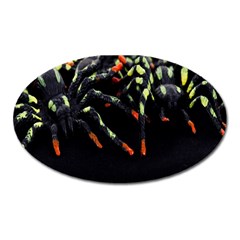 Colorful Spiders For Your Dark Halloween Projects Oval Magnet by Simbadda