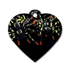 Colorful Spiders For Your Dark Halloween Projects Dog Tag Heart (one Side) by Simbadda