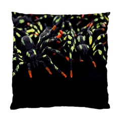 Colorful Spiders For Your Dark Halloween Projects Standard Cushion Case (one Side) by Simbadda