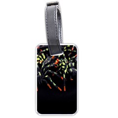 Colorful Spiders For Your Dark Halloween Projects Luggage Tags (one Side)  by Simbadda