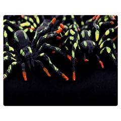 Colorful Spiders For Your Dark Halloween Projects Double Sided Flano Blanket (medium)  by Simbadda