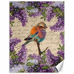 Vintage bird and lilac Canvas 12  x 16  