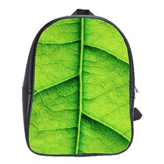 Avocado Leaf School Bags(large)  by DeneWestUK