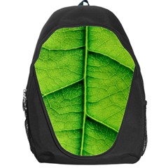 Avocado Leaf Backpack Bag