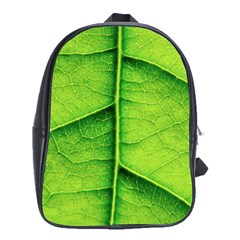 Avocado Leaf School Bags (XL) 