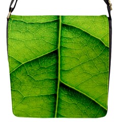 Avocado Leaf Flap Messenger Bag (S)