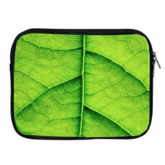 Avocado Leaf Apple iPad 2/3/4 Zipper Cases