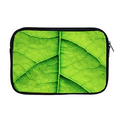 Avocado Leaf Apple Macbook Pro 17  Zipper Case