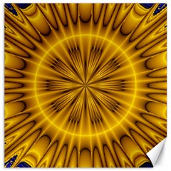 Fractal Yellow Kaleidoscope Lyapunov Canvas 20  x 20  