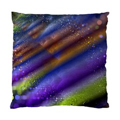 Fractal Color Stripes Standard Cushion Case (One Side)