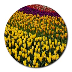 Colorful Tulips In Keukenhof Gardens Wallpaper Round Mousepads by Simbadda