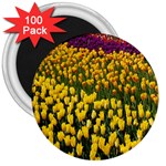 Colorful Tulips In Keukenhof Gardens Wallpaper 3  Magnets (100 pack) Front