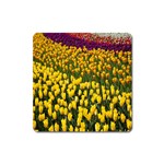 Colorful Tulips In Keukenhof Gardens Wallpaper Square Magnet Front