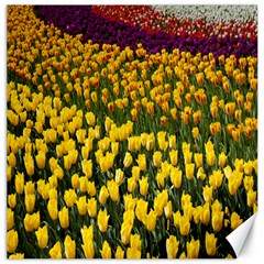 Colorful Tulips In Keukenhof Gardens Wallpaper Canvas 20  X 20   by Simbadda