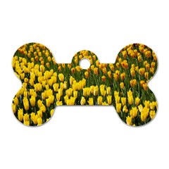 Colorful Tulips In Keukenhof Gardens Wallpaper Dog Tag Bone (two Sides) by Simbadda