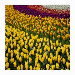 Colorful Tulips In Keukenhof Gardens Wallpaper Medium Glasses Cloth by Simbadda