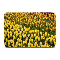 Colorful Tulips In Keukenhof Gardens Wallpaper Plate Mats by Simbadda