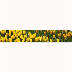 Colorful Tulips In Keukenhof Gardens Wallpaper Small Bar Mats by Simbadda