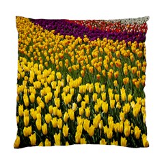 Colorful Tulips In Keukenhof Gardens Wallpaper Standard Cushion Case (one Side) by Simbadda