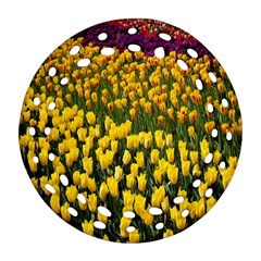 Colorful Tulips In Keukenhof Gardens Wallpaper Ornament (round Filigree) by Simbadda