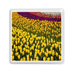 Colorful Tulips In Keukenhof Gardens Wallpaper Memory Card Reader (square) 