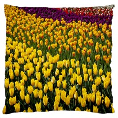 Colorful Tulips In Keukenhof Gardens Wallpaper Large Cushion Case (two Sides) by Simbadda