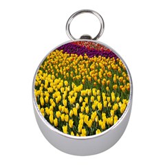 Colorful Tulips In Keukenhof Gardens Wallpaper Mini Silver Compasses by Simbadda