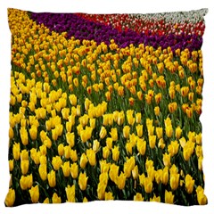 Colorful Tulips In Keukenhof Gardens Wallpaper Standard Flano Cushion Case (two Sides)