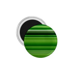 Horizontal Stripes Line Green 1 75  Magnets