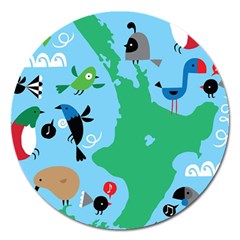 New Zealand Birds Detail Animals Fly Magnet 5  (Round)