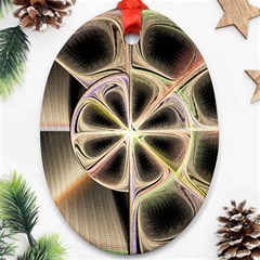 Background With Fractal Crazy Wheel Ornament (oval) by Simbadda