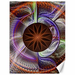 Background Image With Hidden Fractal Flower Canvas 12  X 16   by Simbadda