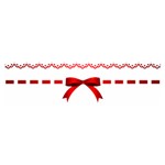 Ribbon Red Line Satin Scarf (Oblong) Front