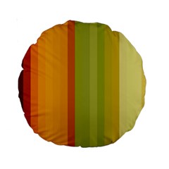 Colorful Citrus Colors Striped Background Wallpaper Standard 15  Premium Round Cushions by Simbadda