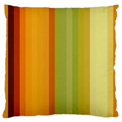 Colorful Citrus Colors Striped Background Wallpaper Large Flano Cushion Case (one Side) by Simbadda