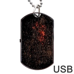 July 4th Fireworks Party Dog Tag Usb Flash (one Side) by Simbadda