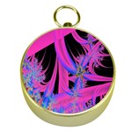 Fractal In Bright Pink And Blue Gold Compasses Front