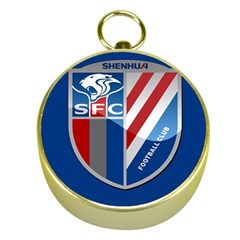 Shanghai Greenland Shenhua F C  Gold Compasses by Valentinaart