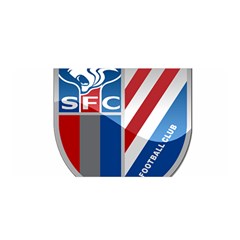 Shanghai Greenland Shenhua F C  Satin Wrap by Valentinaart