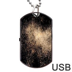 Fireworks Party July 4th Firework Dog Tag Usb Flash (two Sides)