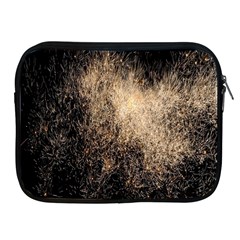 Fireworks Party July 4th Firework Apple Ipad 2/3/4 Zipper Cases by Simbadda