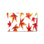 Colorful Autumn Leaves On White Background Magnet (Name Card) Front